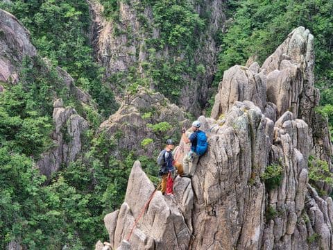 동아리 이미지